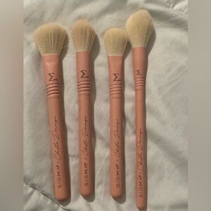 Sigma Beauty Blush Brush Set - Tan